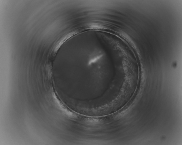 X0000112850945200908281600