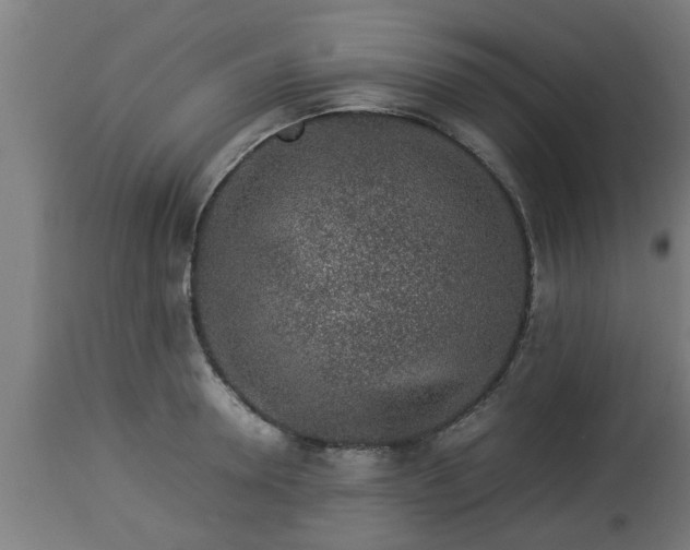 X0000112850946200908281600