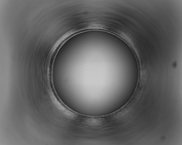 X0000112850947200908281600