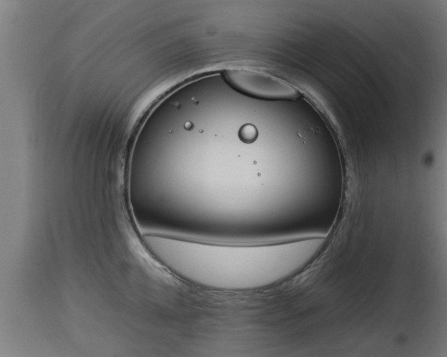 X0000112850952200908281600