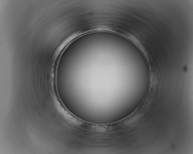 X0000112850955200908281600