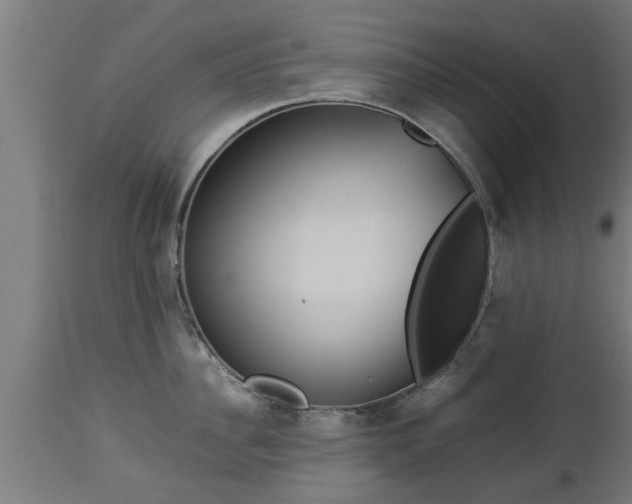 X0000112850956200908281600