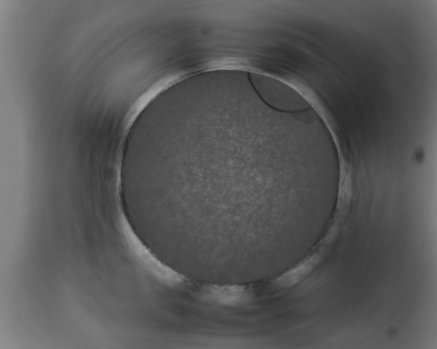 X0000112850957200908281600