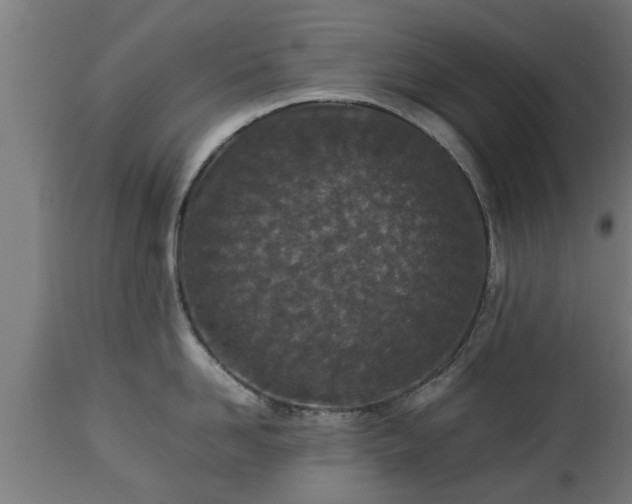 X0000112850958200908281600