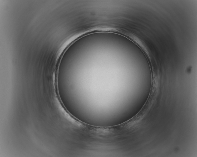 X0000112850959200908281600