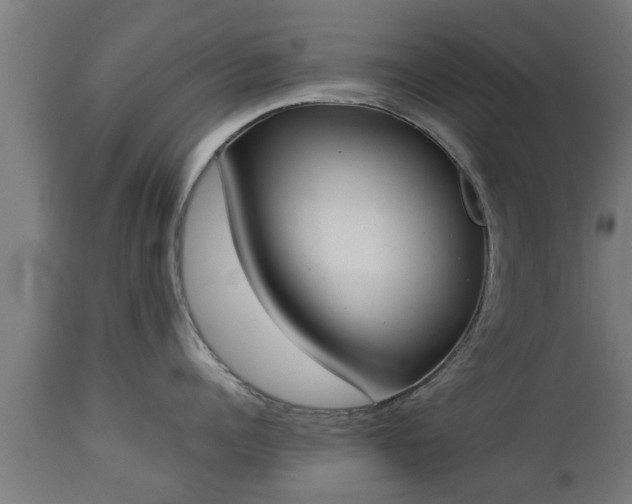 X0000112850960200908281600