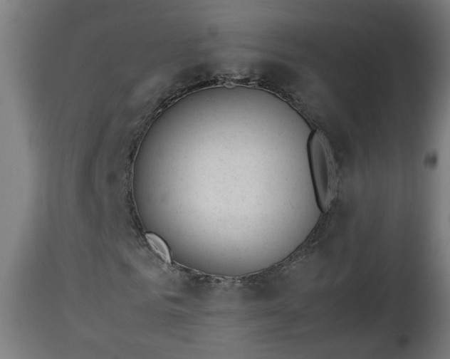 X0000112850961200908281600