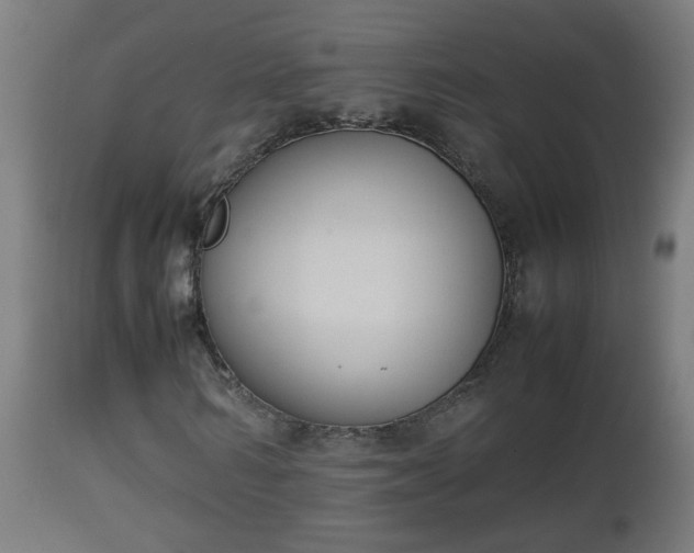 X0000112850962200908281600