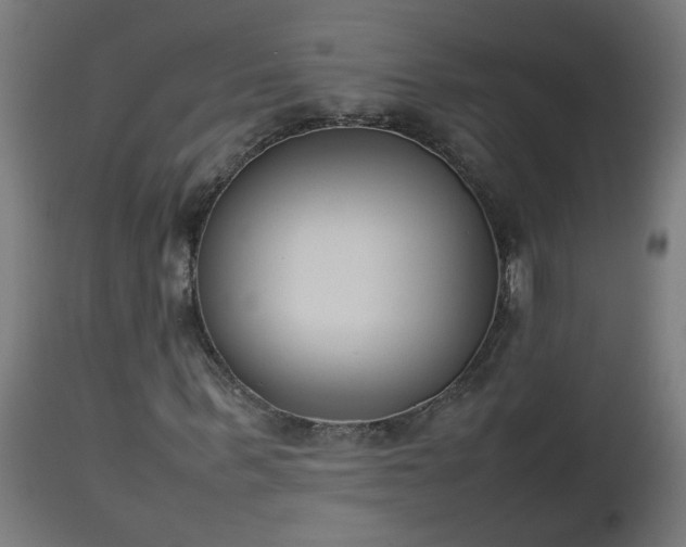 X0000112850963200908281559