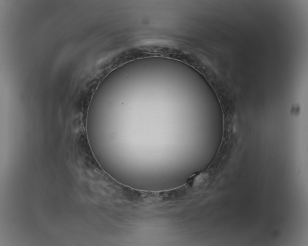 X0000112850965200908281559