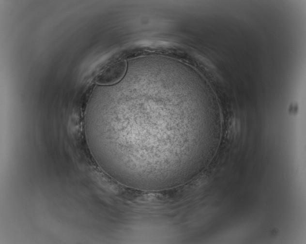 X0000112850966200908281559