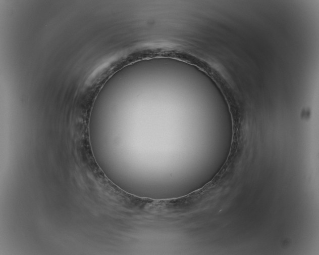 X0000112850967200908281559