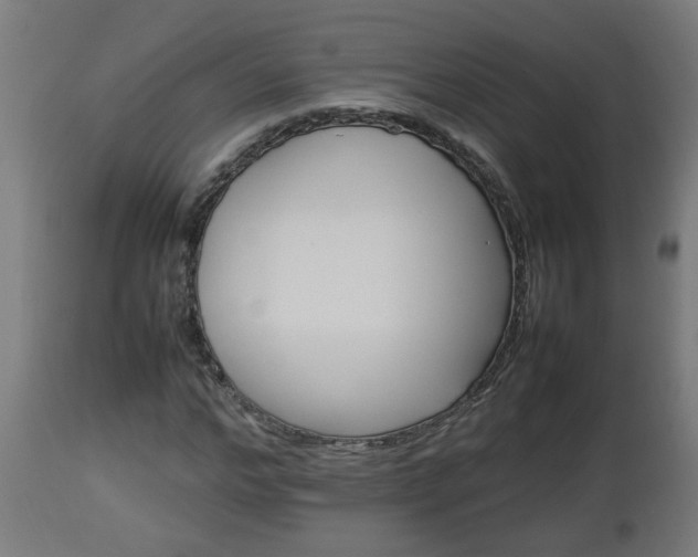 X0000112850968200908281559