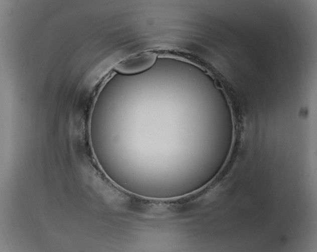 X0000112850969200908281559