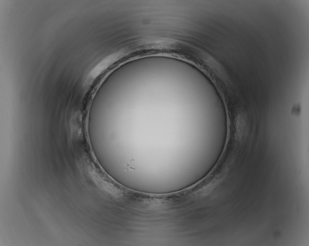 X0000112850970200908281559