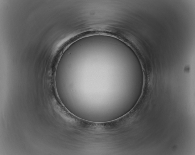 X0000112850971200908281559