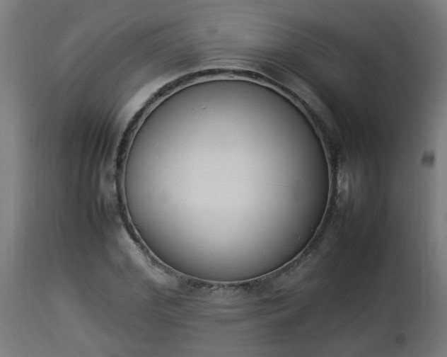 X0000112850972200908281559