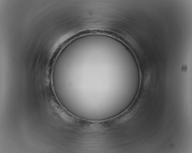 X0000112850974200908281559