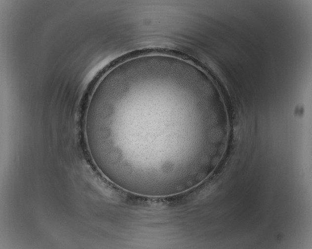 X0000112850975200908281559