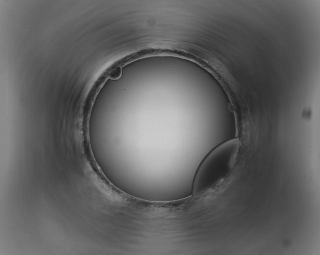 X0000112850976200908281559