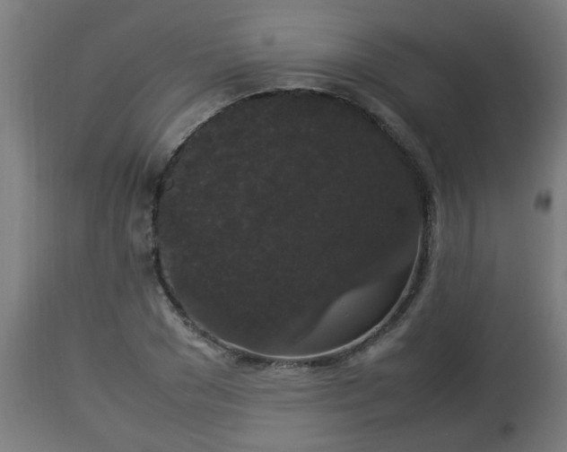 X0000112850977200908281559
