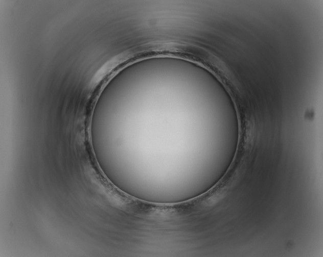 X0000112850978200908281559