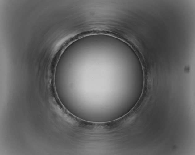 X0000112850979200908281559