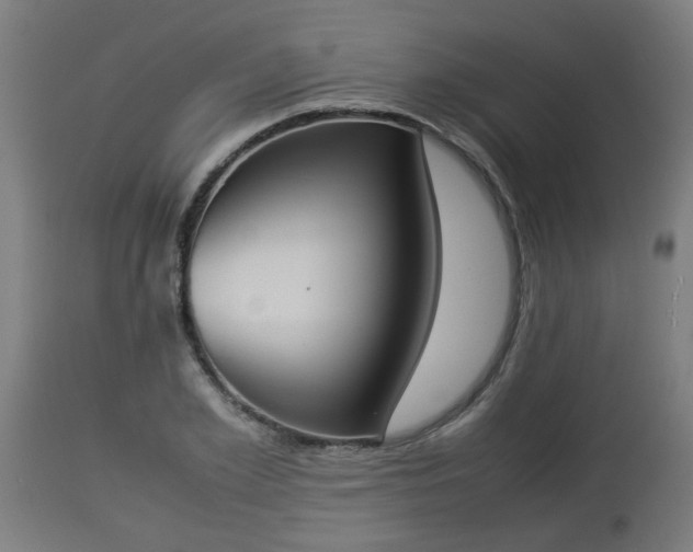 X0000112850981200908281559