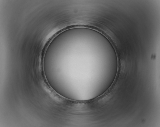 X0000112850982200908281559