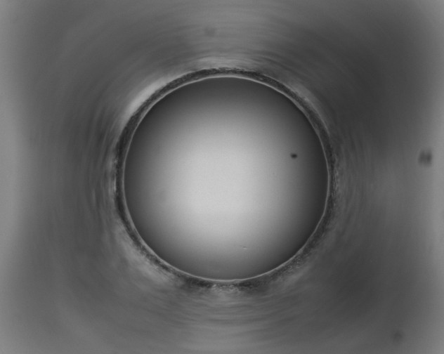 X0000112850983200908281559