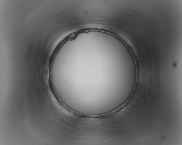 X0000112850984200908281559
