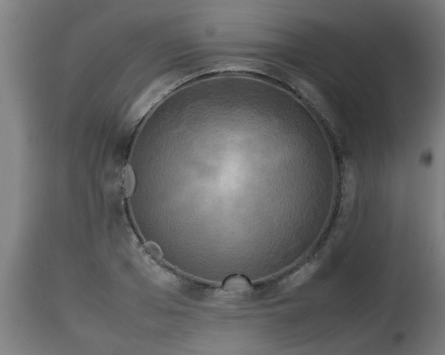 X0000112850985200908281559