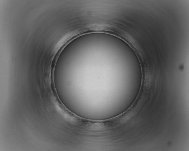 X0000112850986200908281559