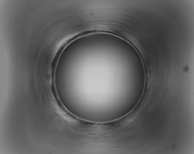 X0000112850987200908281559