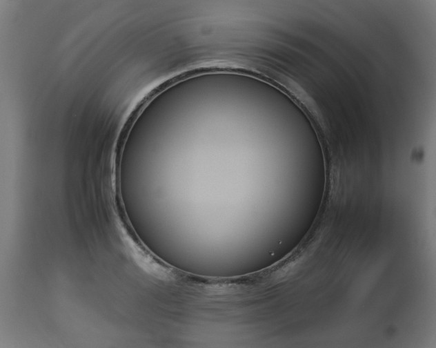 X0000112850988200908281559