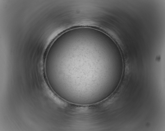 X0000112850990200908281559