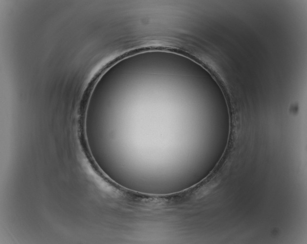 X0000112850991200908281559