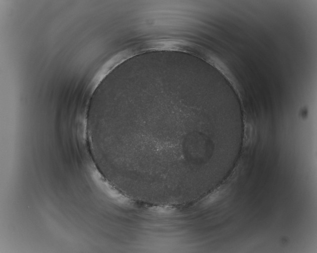 X0000112850994200908281559