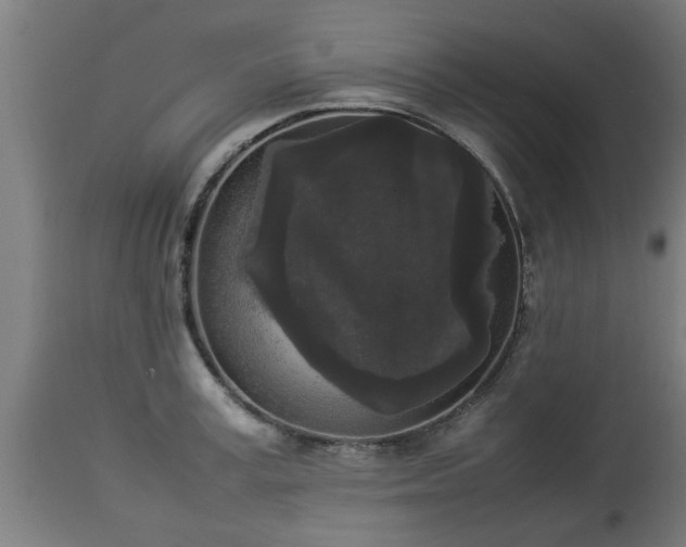 X0000112850995200908281559