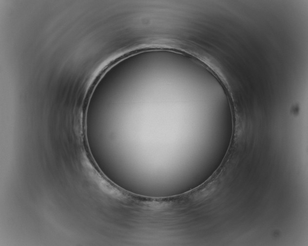 X0000112850996200908281559
