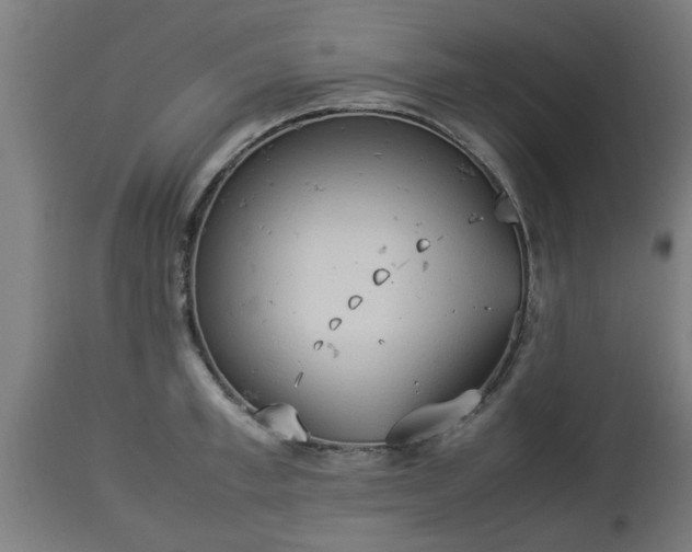 X0000112850997200908281559