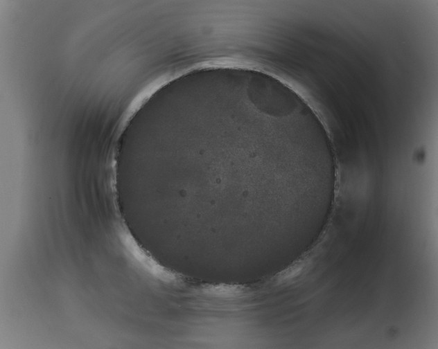 X0000112850998200908281559