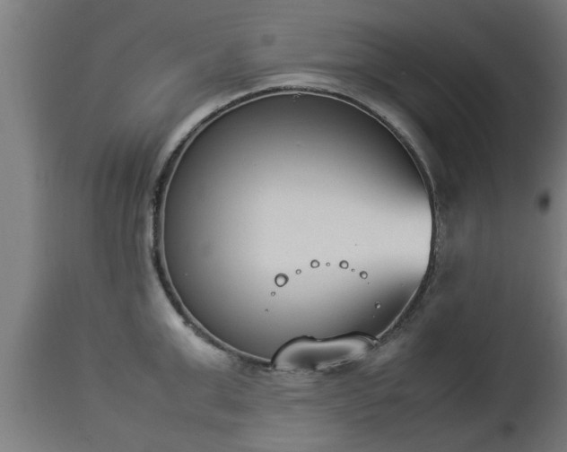 X0000112850999200908281559