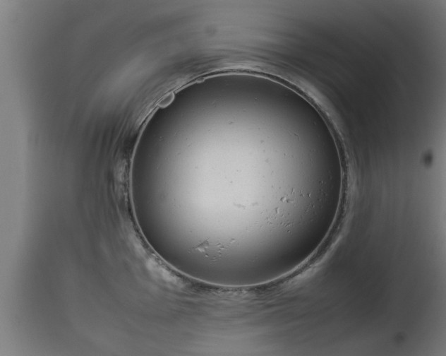 X0000112851001200908281559