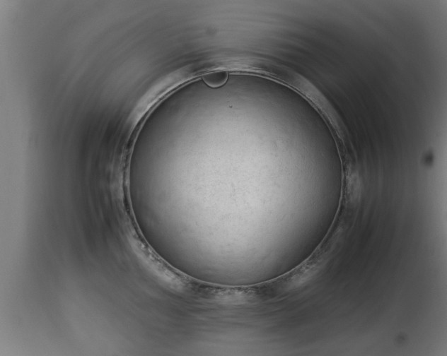 X0000112851002200908281559