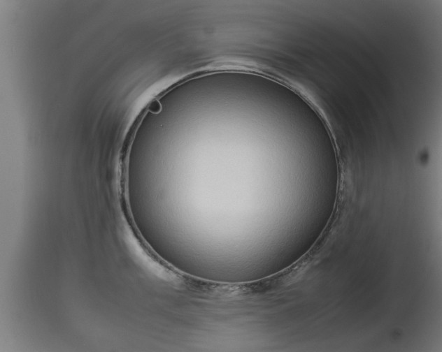 X0000112851003200908281559