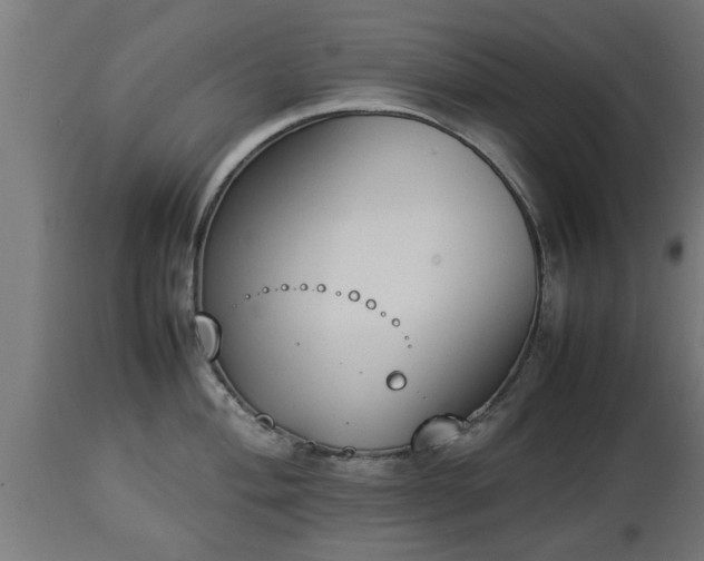 X0000112851004200908281559