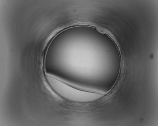 X0000112851005200908281559