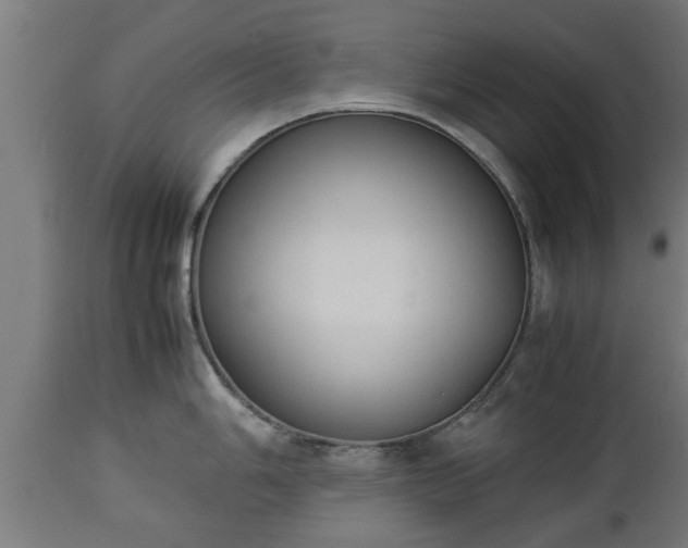 X0000112851006200908281559