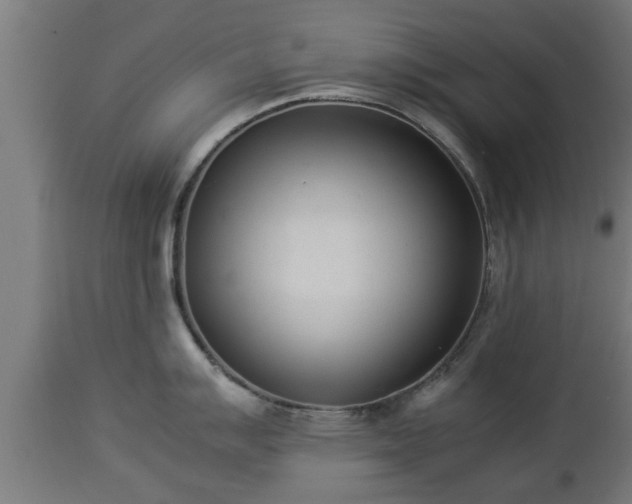 X0000112851007200908281559